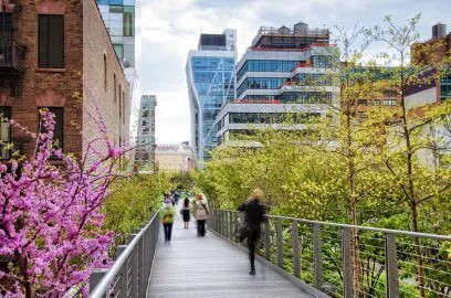 High Line Park, NYC: Amidst Safety Concerns, Exploring Office Space Options