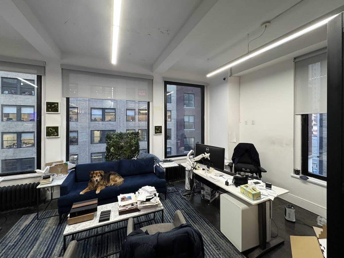 Modern office with city view, desk, couch, dog, and indoor plants.